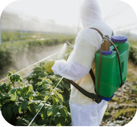 Pesticide picture